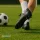 Goal Einlegesohle 48