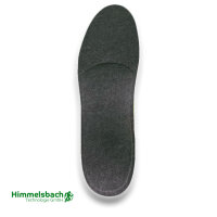 Alsbach 41