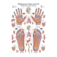 Lehrtafel "Reflexzonen Hand + Fuß"